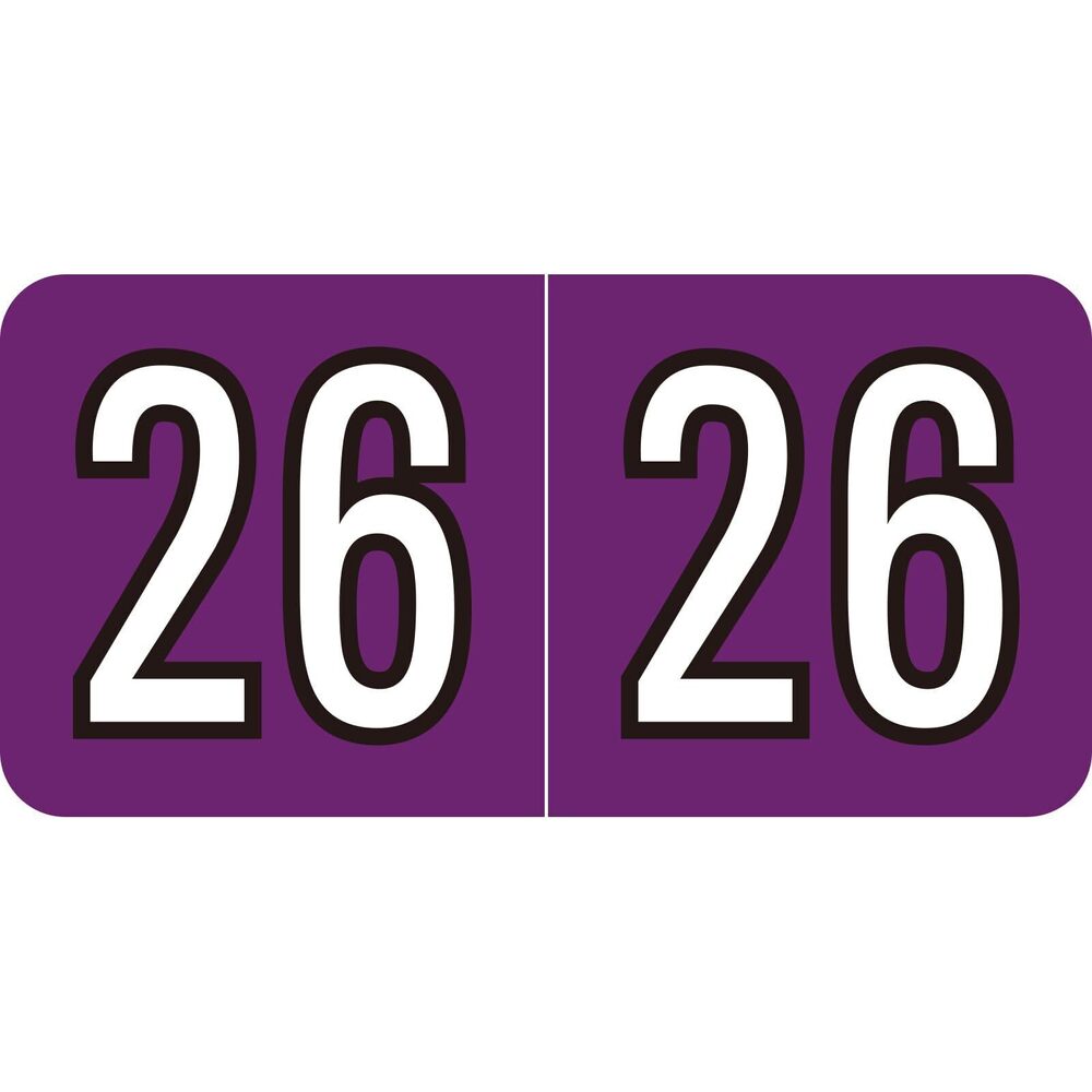 4011 2026 Year Stickers, 500 Pcs File Folder Labels Self Adhesive 3/4" x